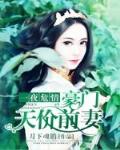 一夜危情:豪门天价前妻